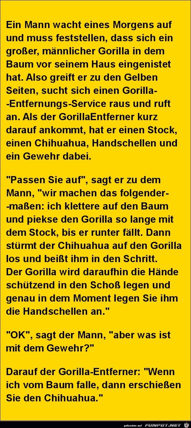 ein Mann wacht eines Morgens auf....... ein Mann wacht eines Morgens auf.......