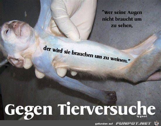 gegen Tierversuche.... gegen Tierversuche....