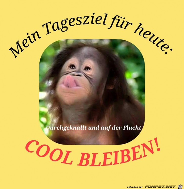 Mein Tagesziel fuer heute