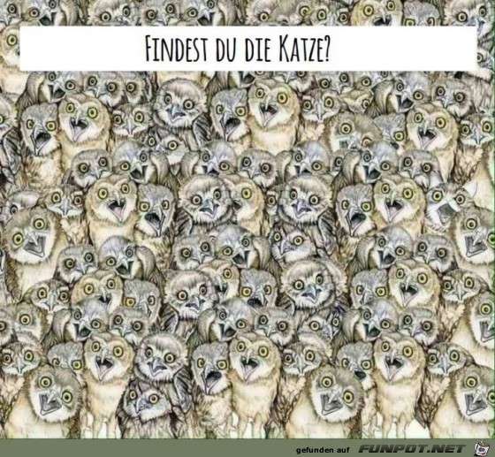 Finde die Katze