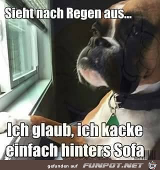 Sieht nach Regen aus... Sieht nach Regen aus...