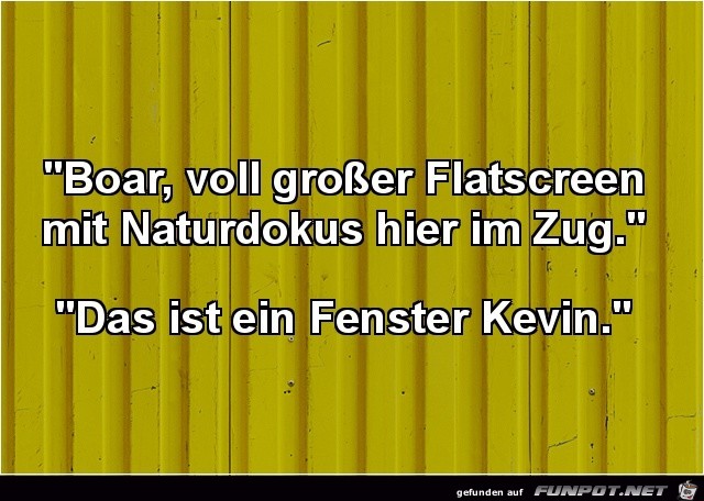 Voll großer Flatscreen Voll großer Flatscreen