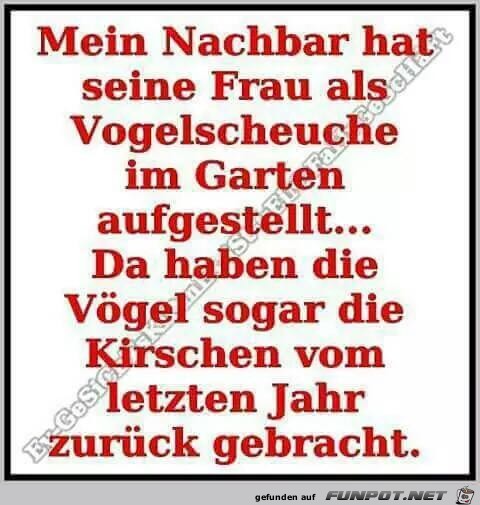 Frau und Vogelscheuche Frau und Vogelscheuche