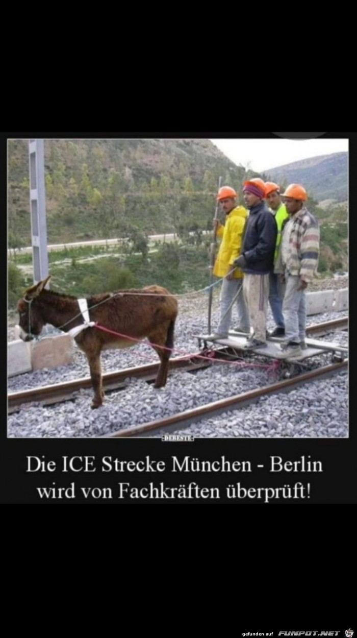 Merkels Fachkräfte Merkels Fachkräfte