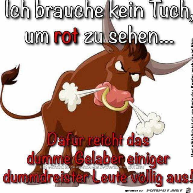 Brauche kein Tuch