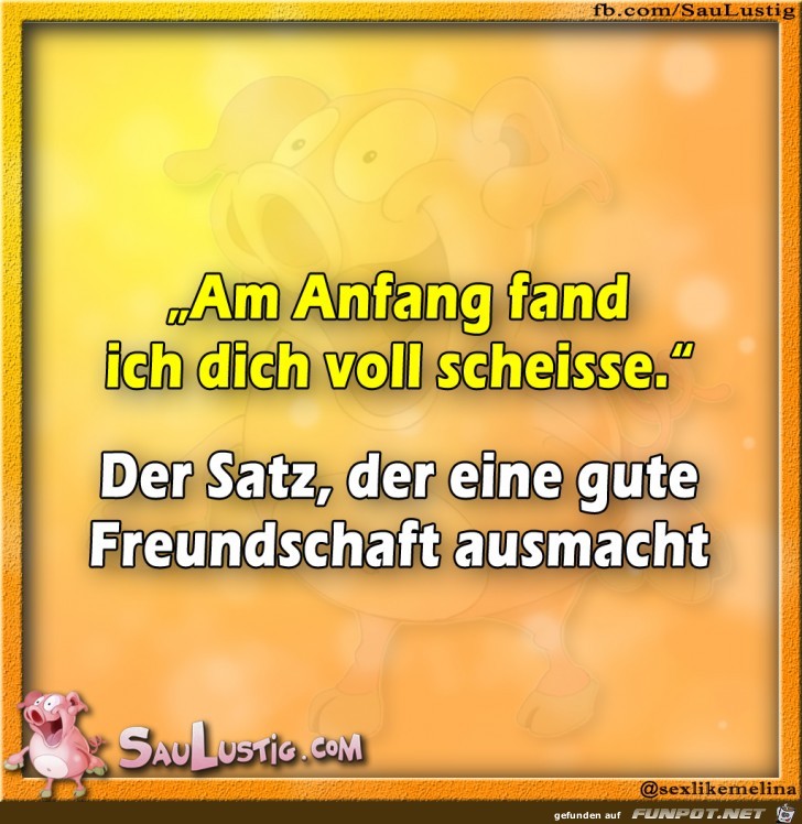 Am-Anfang-fand-ich-Dich-voll-scheisse