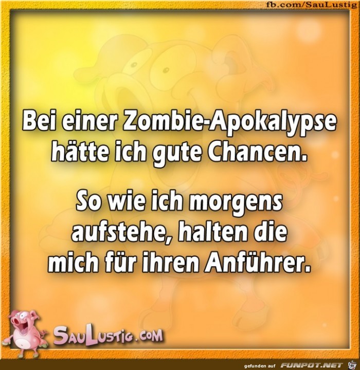 Bei-einer-Zombie-Apokalypse