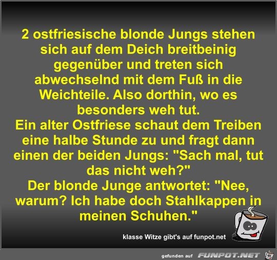 2 ostfriesische blonde Jungs stehen sich auf dem Deich...