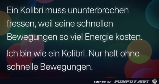 Kolibri Kolibri