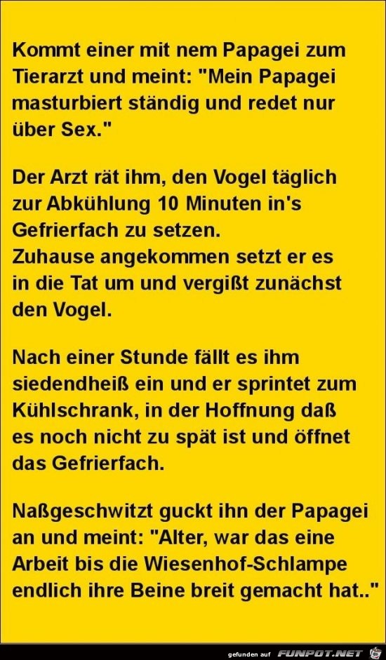 kommt einer mit nem Papagei zum Tierarzt.... kommt einer mit nem Papagei zum Tierarzt....