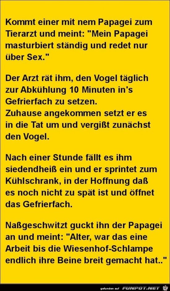 kommt einer mit nem Papagei zum Tierarzt....