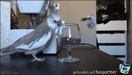 Runter damit Runter damit