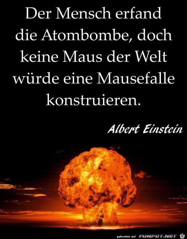 der Mensch erfand die Atombombe.......