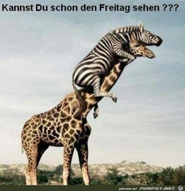 den Freitag sehen den Freitag sehen