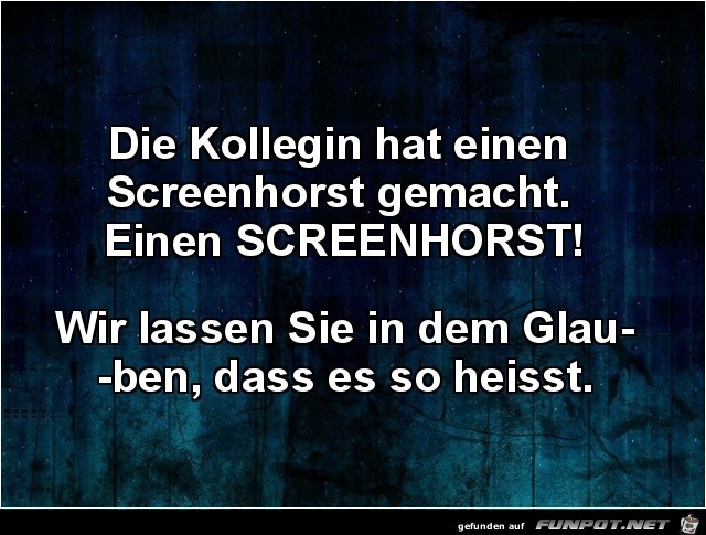 Ein Screenhorst