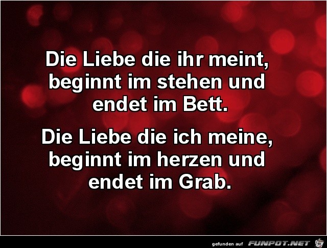 die Liebe die hr meint.......