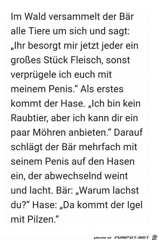 im Wald vesammelt der Bär alle Tiere........ im Wald vesammelt der Bär alle Tiere........