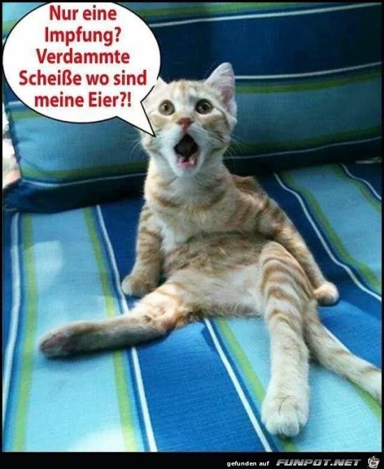 alles Lüge...... alles Lüge......