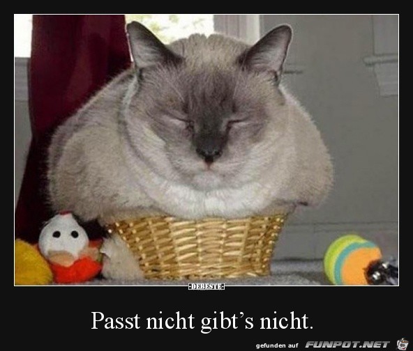 Passt nicht gibts nicht Passt nicht gibts nicht