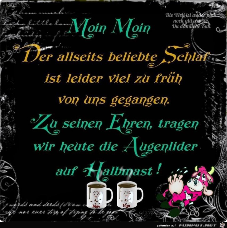 Moin Moin Moin Moin