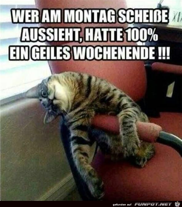 Montag Montag