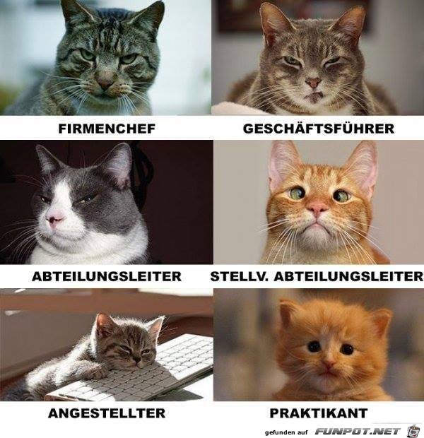 Charaktere Charaktere