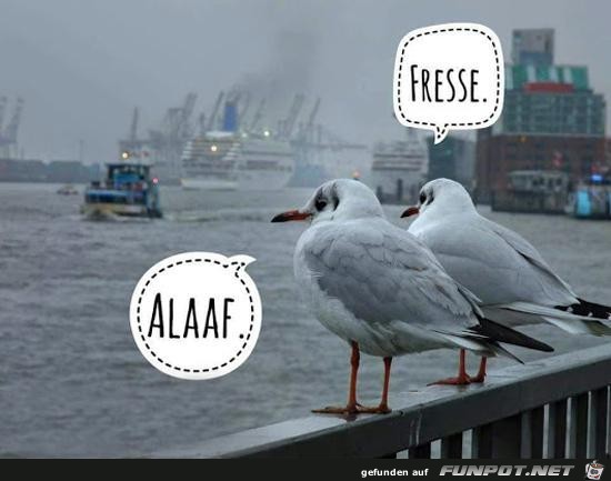 Fresse Fresse