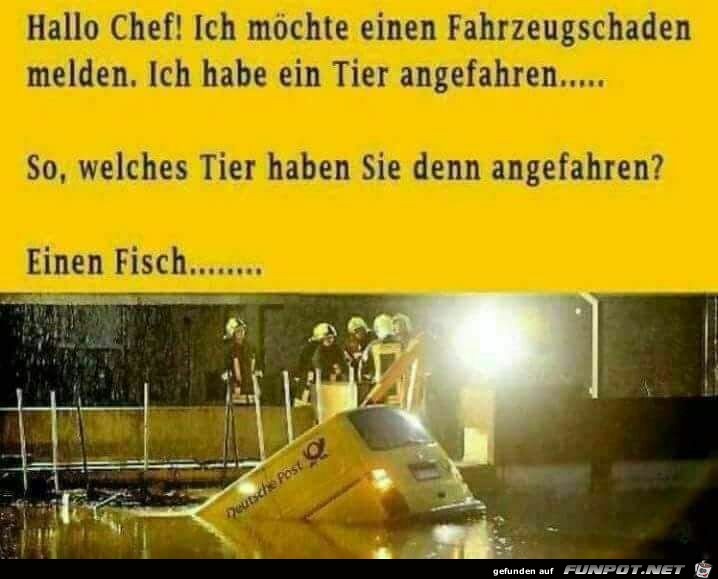 Fahrzeugschaden