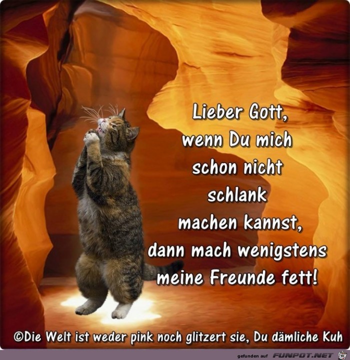 Lieber Gott Lieber Gott