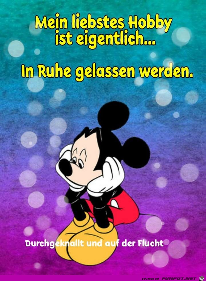 Mein liebstes Hobby Mein liebstes Hobby
