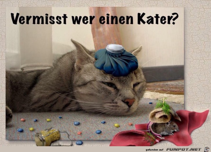 Kater Kater