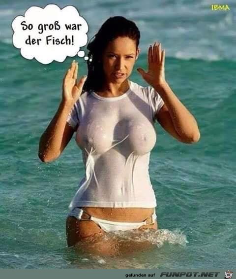 grosser Fisch grosser Fisch