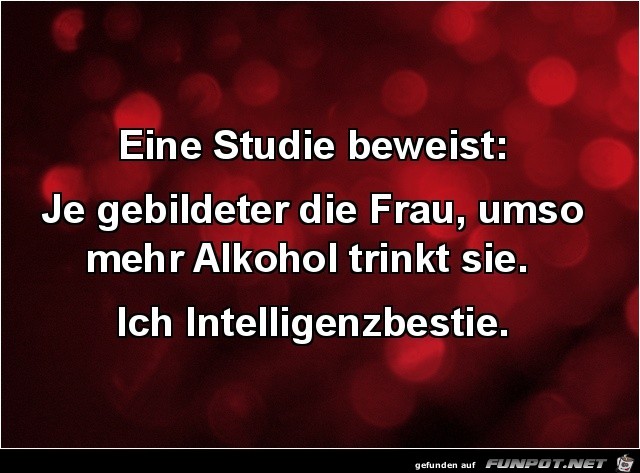 Super Studie Super Studie