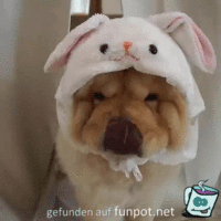Lustige animierte Oster-Bilder