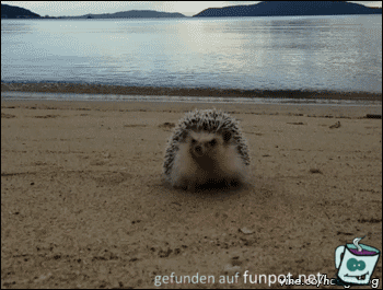 ich hau hier ab ich hau hier ab