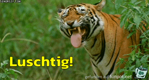 luschtig luschtig