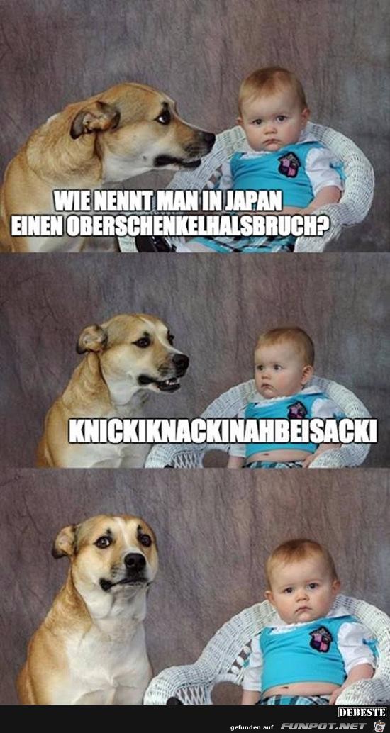 wie nennt man in Japan einen Oberschenkelhalsbruch?....