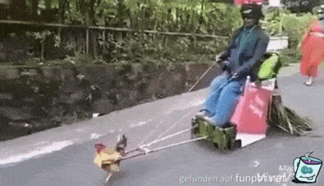 Gespann Gespann
