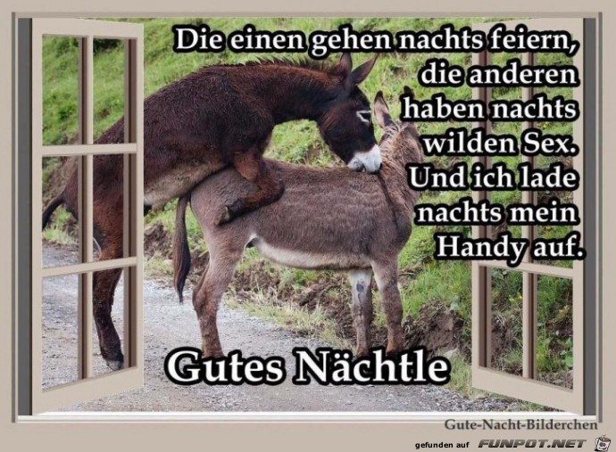 Nachts feiern Nachts feiern