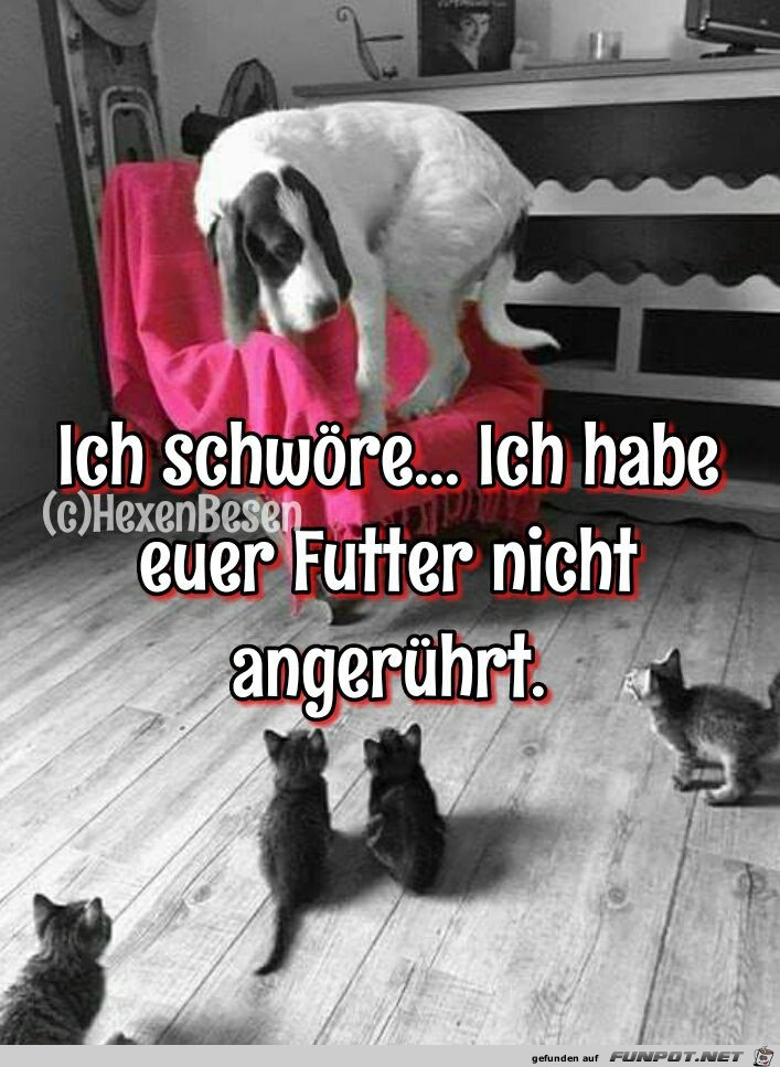 Ich schwoere Ich schwoere