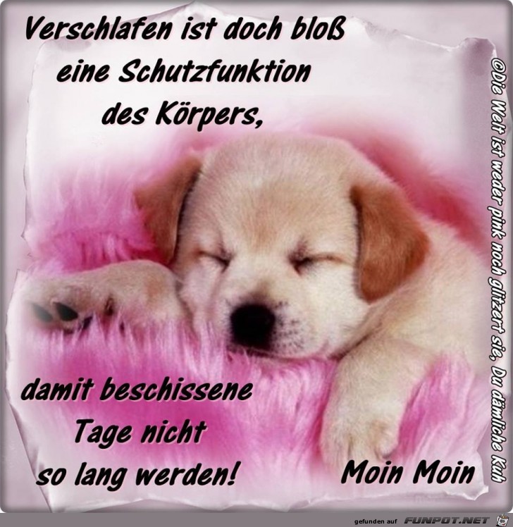 Verschlafen Verschlafen