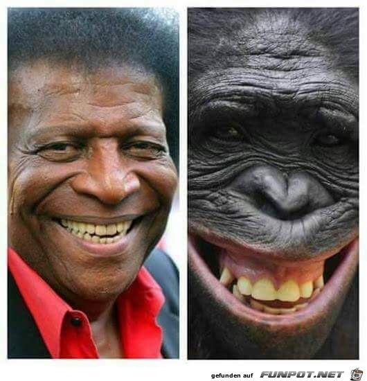Roy Black Roy Black