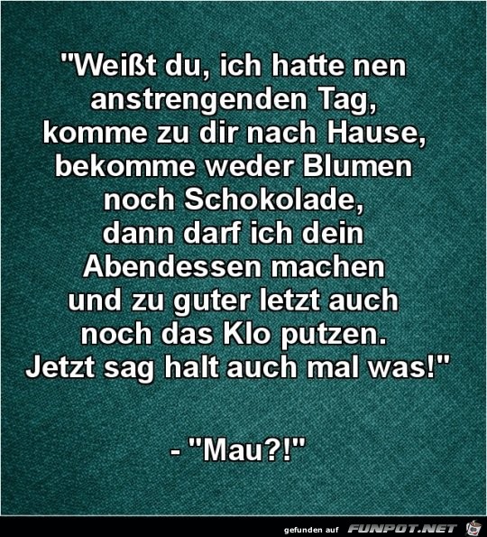 Sag mal was