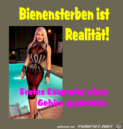 Bienensterben Bienensterben
