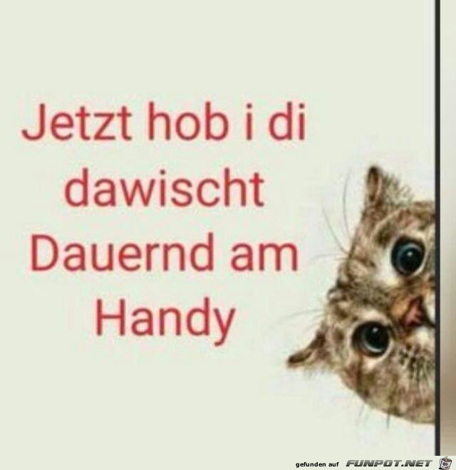 Hab ich dich erwischt Hab ich dich erwischt