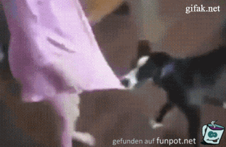 Lass sie in Ruhe Lass sie in Ruhe
