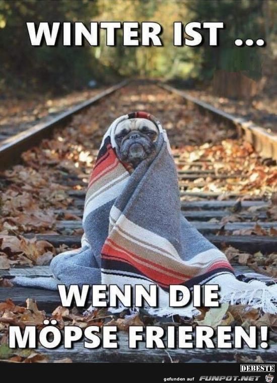Winter Winter