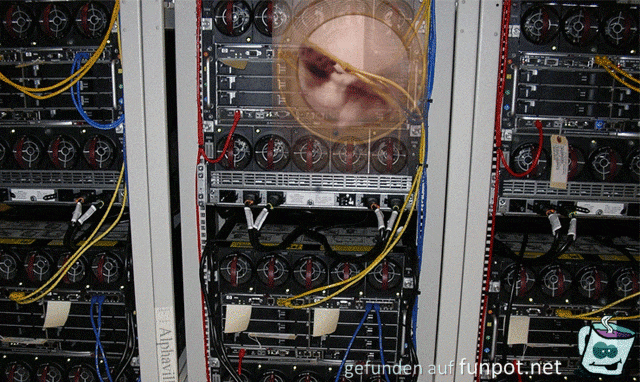 Spezielles Hamsterrad Spezielles Hamsterrad