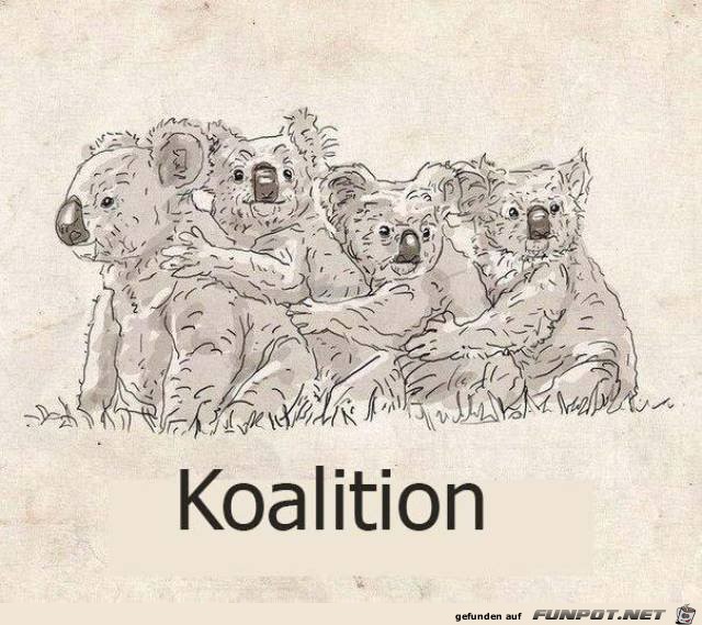 Koalition