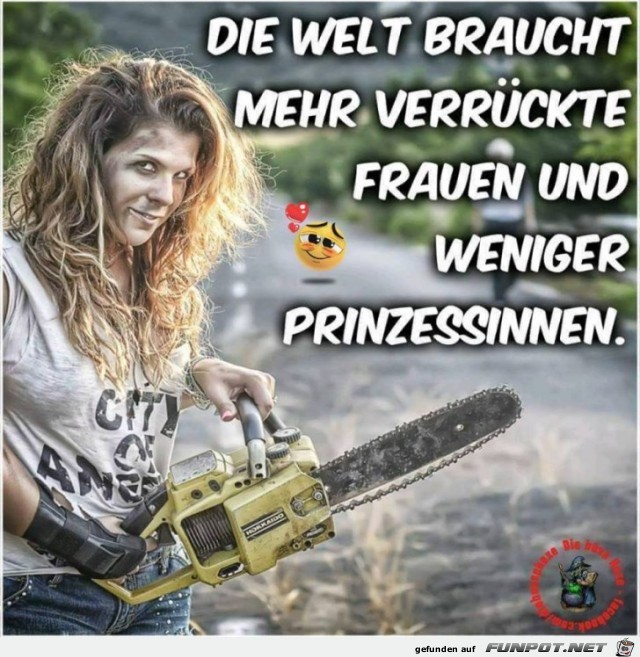 Die Welt braucht